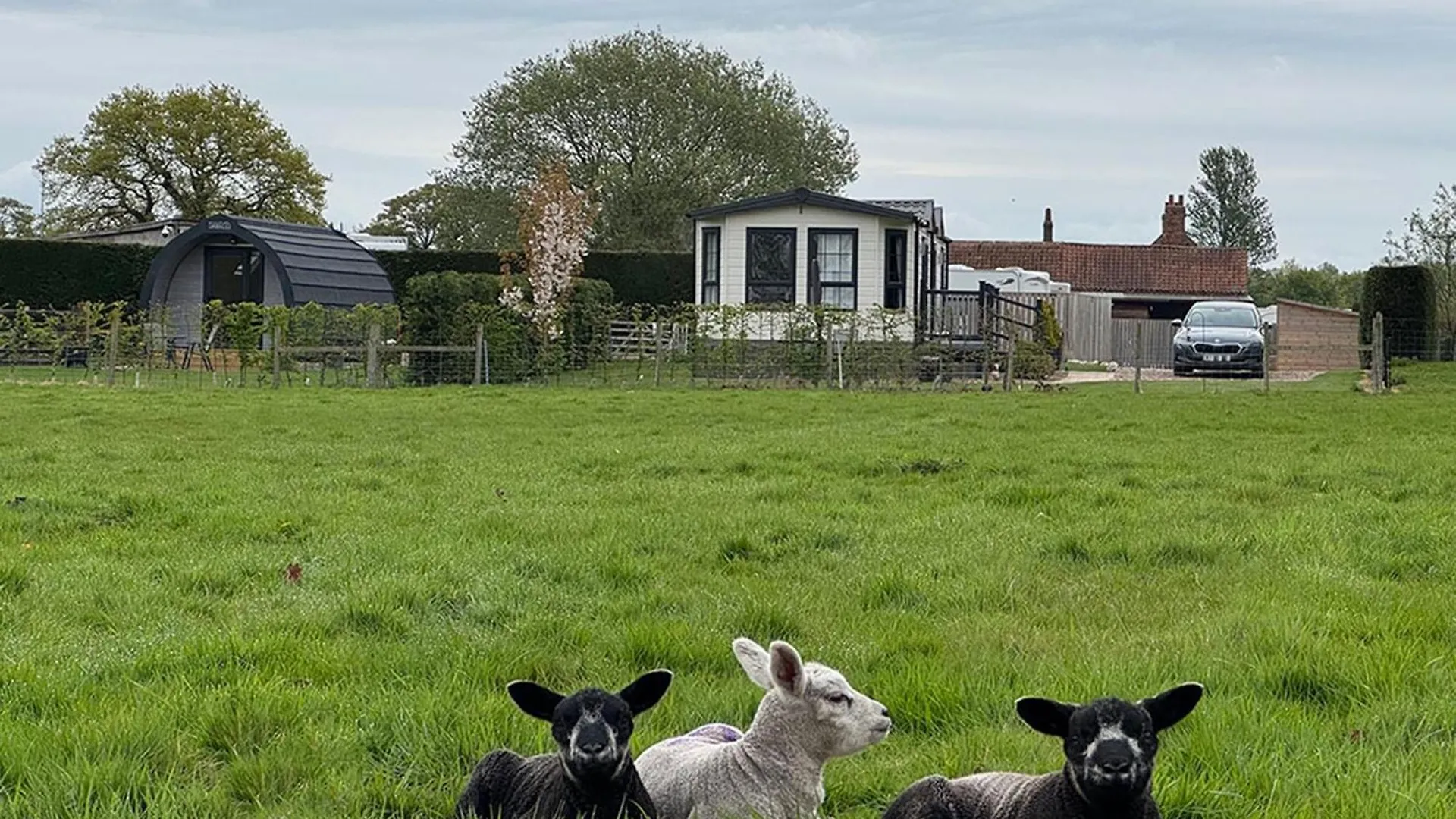 Field House Farm - Owl Lodge Or Honey Pod - Countryside Stay Near York Skipwith Storbritannien